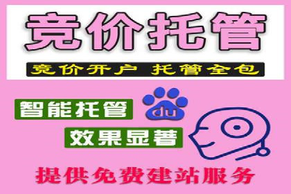 某某sem代运营公司如何帮助企业提升广告ROI